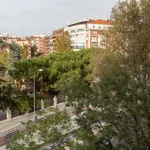 Rent a room of 200 m² in madrid