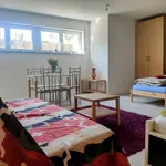 Rent 1 bedroom apartment of 60 m² in Freiburg im Breisgau