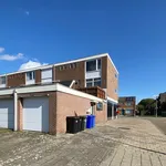 Huur 1 slaapkamer appartement van 100 m² in Axel