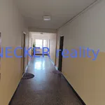 Rent 2 bedroom apartment of 1 m² in Hradec Králové