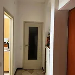 Rent 3 bedroom apartment of 100 m² in Milan