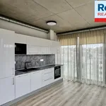 Rent 3 bedroom apartment in Liberec