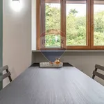 Rent 1 bedroom apartment of 50 m² in 13
 
 Biella