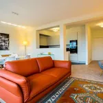 Rent 2 bedroom apartment of 95 m² in brussels