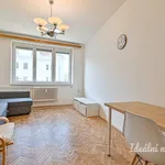 Rent 2 bedroom apartment in Brno