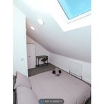 Rent a room in North East England