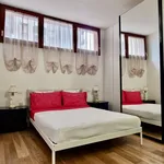 Rent 2 bedroom apartment of 42 m² in Firenze