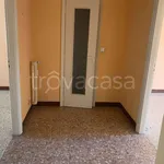 Rent 2 bedroom apartment of 55 m² in Torino