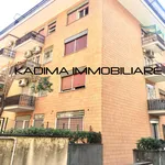 Rent 1 bedroom apartment of 80 m² in Rome