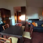 Rent 1 bedroom apartment of 30 m² in Rome