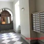 Rent 2 bedroom apartment of 53 m² in Torino