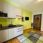 Rent 1 bedroom apartment of 45 m² in Saronno