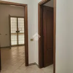 Rent 2 bedroom apartment of 65 m² in Pomezia