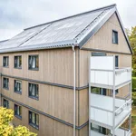 Rent 3 bedroom house of 72 m² in Bochum