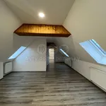 Rent 1 bedroom apartment of 57 m² in Louny