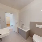 Rent 1 bedroom apartment in Třebíč