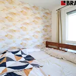 Rent 3 bedroom apartment of 55 m² in Brno