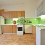 Rent 1 bedroom apartment of 43 m² in Praha