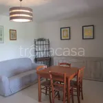 Rent 2 bedroom apartment of 70 m² in Olbia