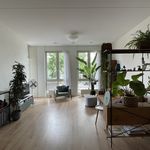Rent 3 bedroom apartment of 85 m² in Burgemeestersbuurt