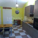 Rent 2 bedroom apartment of 40 m² in Torino