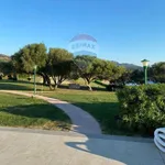 Rent 2 bedroom apartment of 50 m² in Olbia