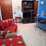 Rent 2 bedroom apartment of 50 m² in Prato