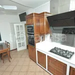 Rent 4 bedroom apartment of 130 m² in Trento