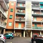 Rent 3 bedroom apartment of 80 m² in Genoa