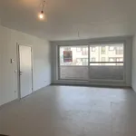 Rent 2 bedroom apartment in MAASEIK