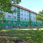 Rent 20 bedroom apartment of 4586 m² in Limbach-Oberfrohna