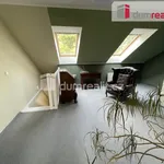 Rent 4 bedroom apartment of 100 m² in Prague