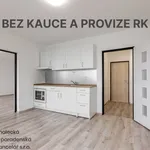 Rent 1 bedroom apartment of 47 m² in Ústí nad Labem