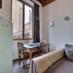  appartement avec 1 chambre(s) en location à Lyon