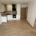 Rent 2 bedroom apartment of 36 m² in Havířov