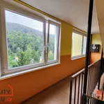 Rent 2 bedroom apartment of 40 m² in Krupka