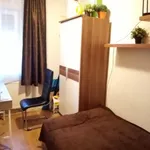 Rent 1 bedroom apartment of 51 m² in Pécs