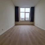 Huur 2 slaapkamer appartement van 55 m² in Den Haag