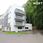 Rent 3 bedroom apartment in Karlovy Vary