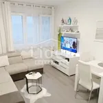 Rent 1 bedroom apartment of 40 m² in Grad Rijeka