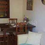 Rent 2 bedroom apartment of 50 m² in Genova