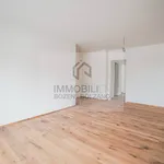 Rent 4 bedroom apartment of 135 m² in Appiano sulla strada del vino