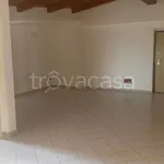 Rent 4 bedroom apartment of 130 m² in Cinisello Balsamo