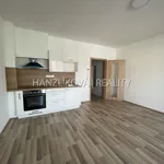 Pronajměte si 1 ložnic/e byt o rozloze 33 m² v České Budějovice