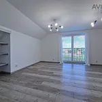 Rent 4 bedroom apartment of 164 m² in Miřetice