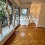 Rent 2 bedroom apartment of 30 m² in Lugano