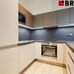 Pronajměte si 2 ložnic/e byt o rozloze 59 m² v Brno