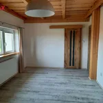 Rent 1 bedroom house of 100 m² in Prostřední Bludovice