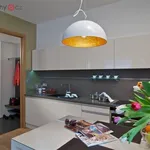 Rent 1 bedroom apartment of 60 m² in Praha 2