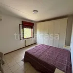 Rent 6 bedroom apartment of 121 m² in Perugia